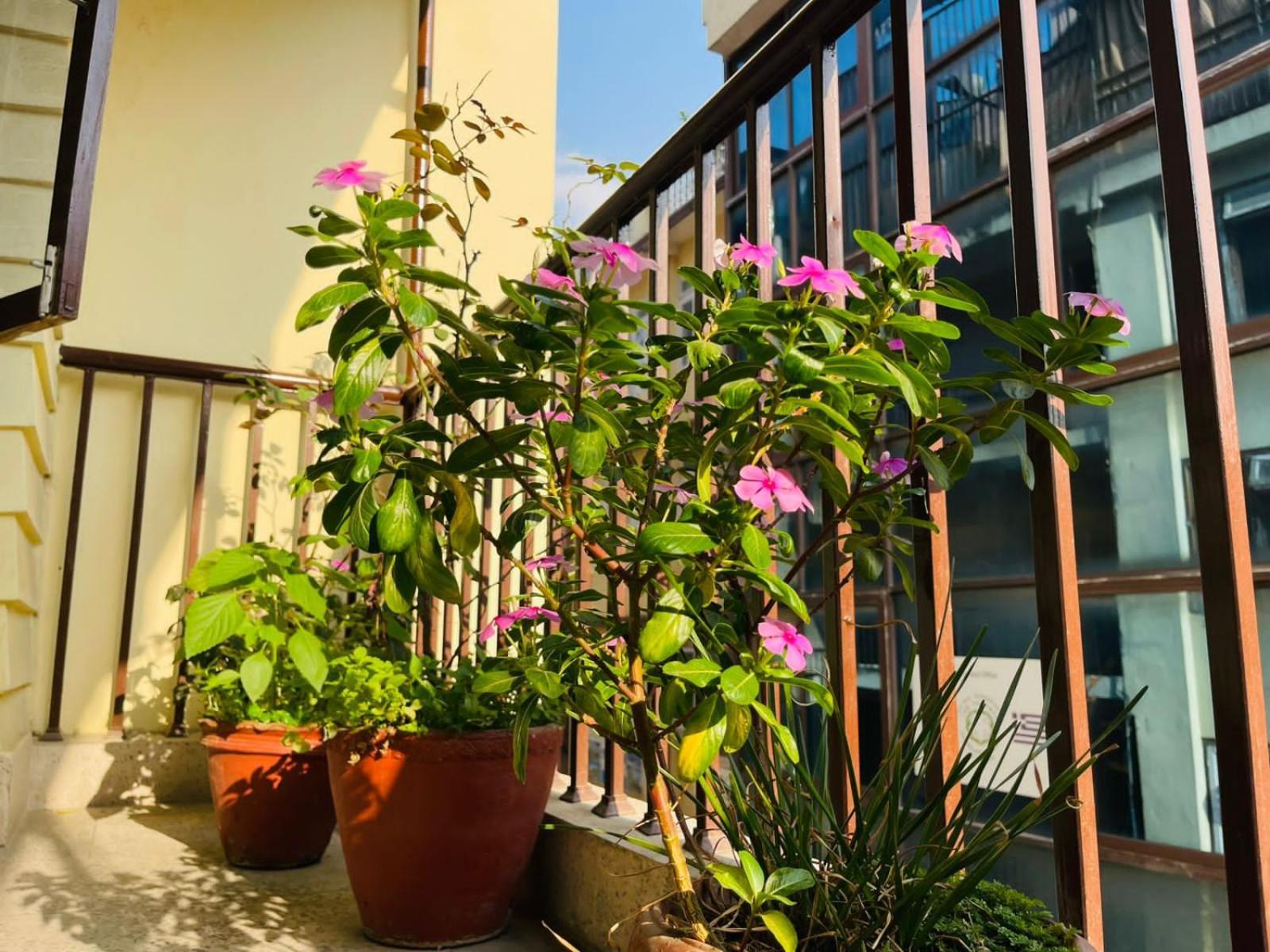 Holy Land Hotel Nepal Katmandú Exterior foto
